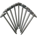 Roofing Nail Roof Wire Nail Steel Smooth Shank